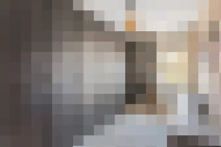 Bongerd 29 Borne thumbnail 16
