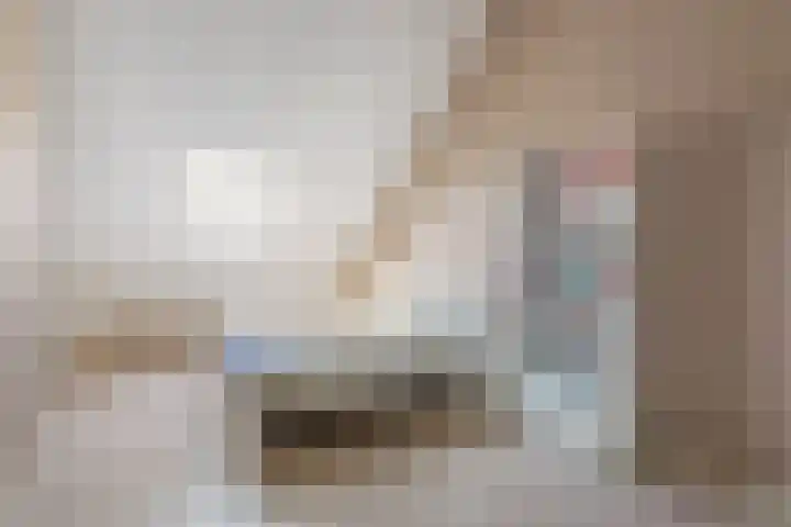 Bongerd 29 Borne thumbnail 17