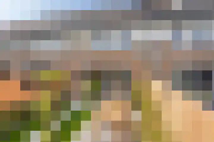 Bongerd 29 Borne thumbnail 18