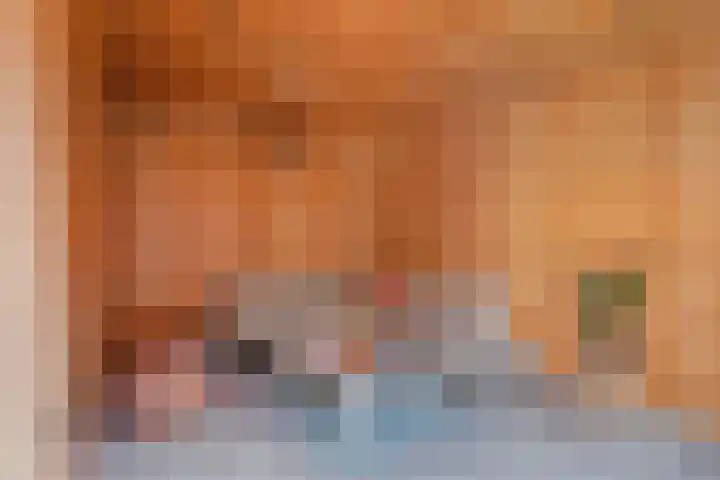 Bongerd 29 Borne thumbnail 20