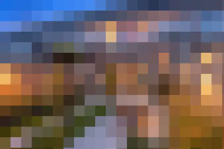 Bongerd 29 Borne thumbnail 21