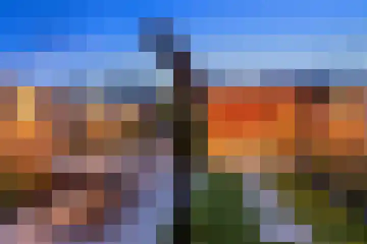 Bongerd 29 Borne thumbnail 4