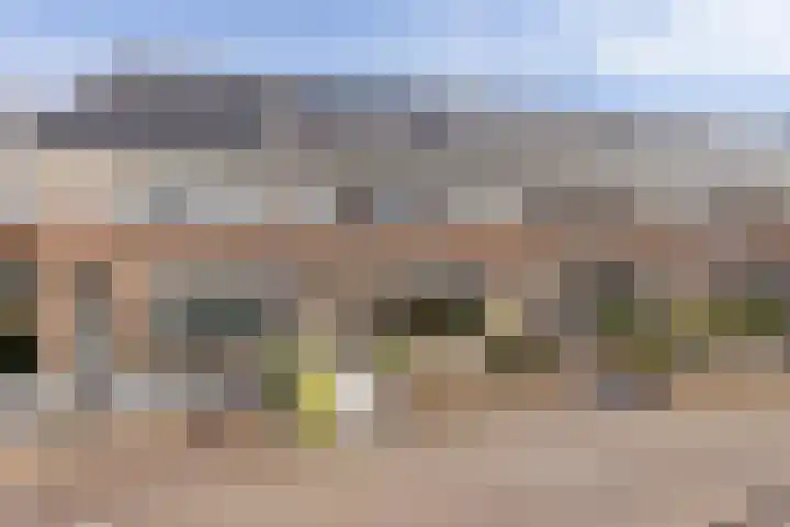 Bongerd 29 Borne thumbnail 6