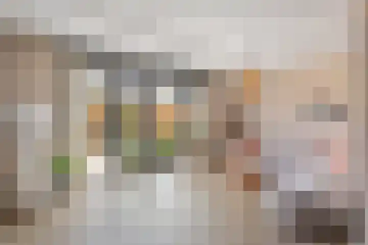 Bongerd 29 Borne thumbnail 7
