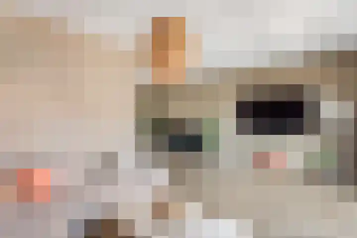 Bongerd 29 Borne thumbnail 8