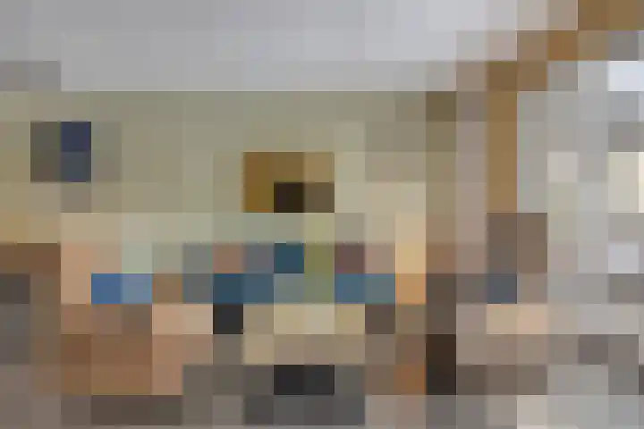 Bongerd 31 Helden thumbnail 11