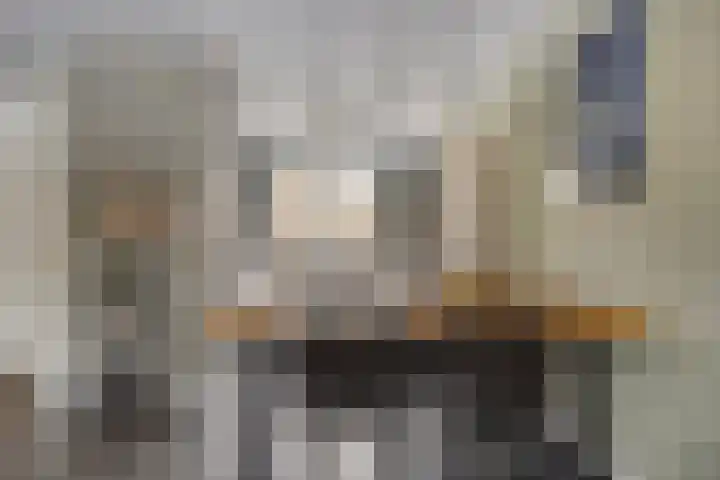 Bongerd 31 Helden thumbnail 18