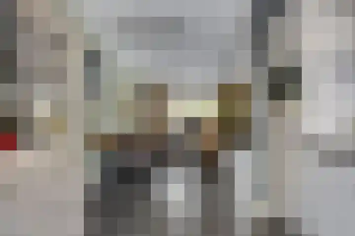 Bongerd 31 Helden thumbnail 24