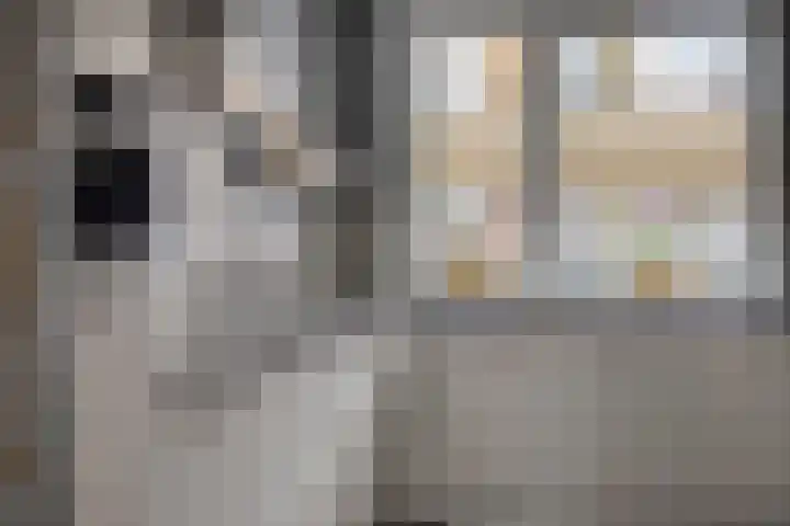 Bongerd 31 Helden thumbnail 26