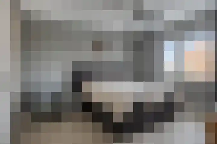 Bongerd 31 Helden thumbnail 29