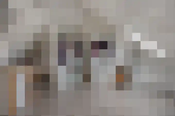 Bongerd 31 Helden thumbnail 45