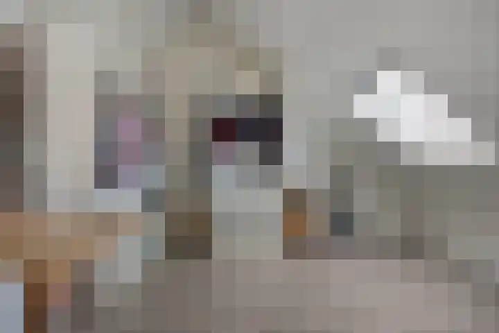 Bongerd 31 Helden thumbnail 46