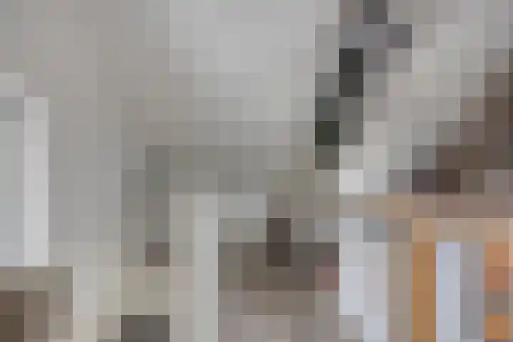 Bongerd 31 Helden thumbnail 47