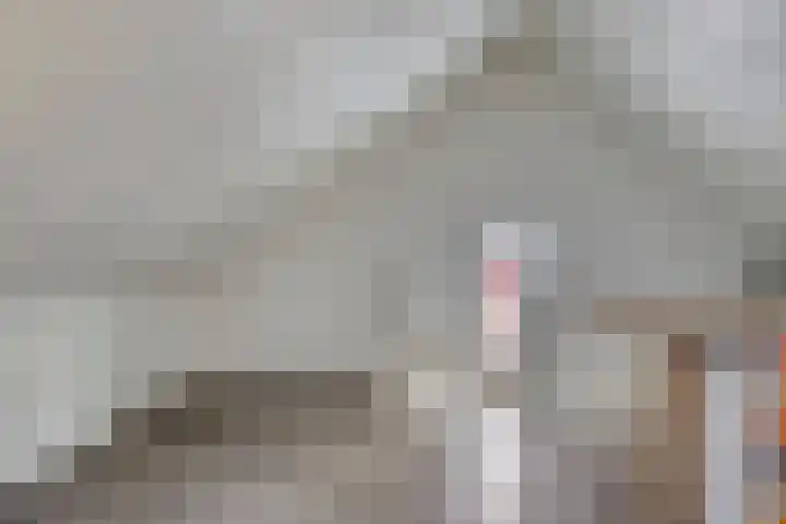 Bongerd 31 Helden thumbnail 48