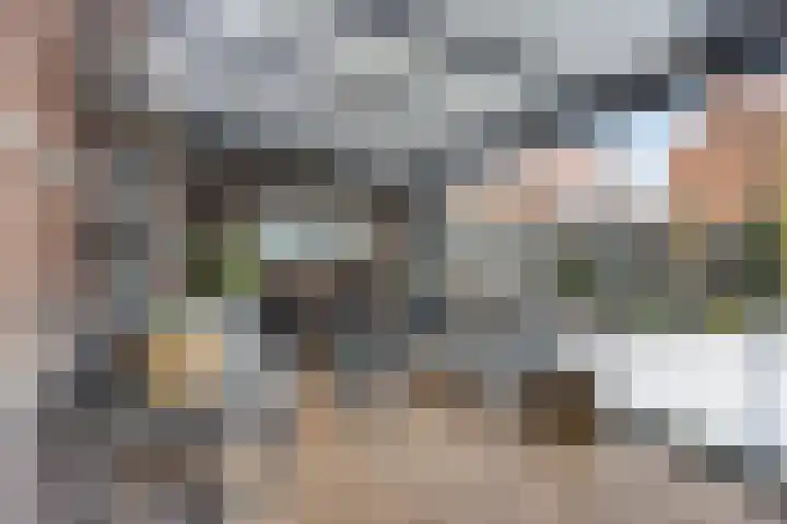Bongerd 31 Helden thumbnail 49
