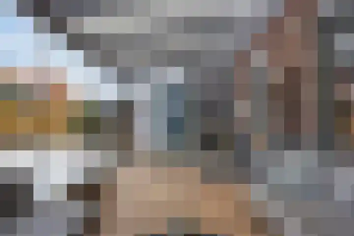 Bongerd 31 Helden thumbnail 51