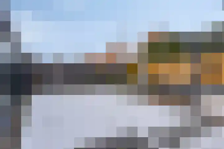 Bongerd 31 Helden thumbnail 52