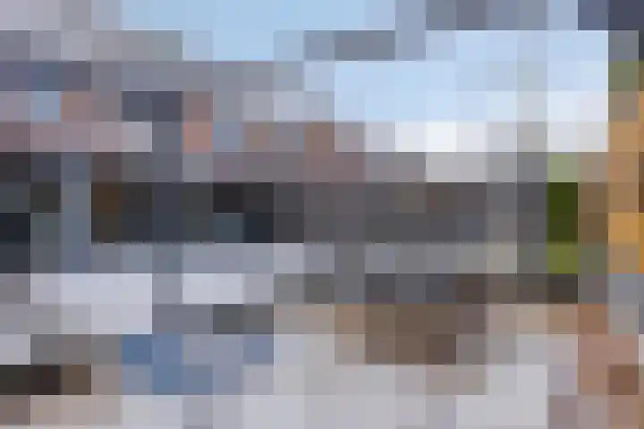 Bongerd 31 Helden thumbnail 54
