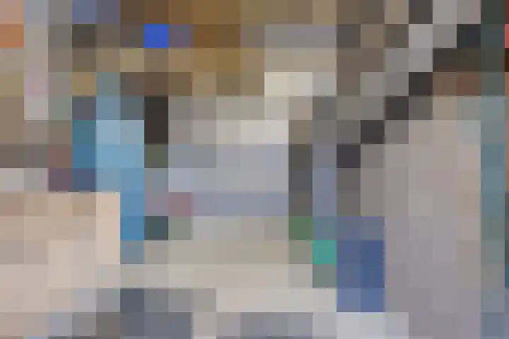 Bongerd 31 Helden thumbnail 58