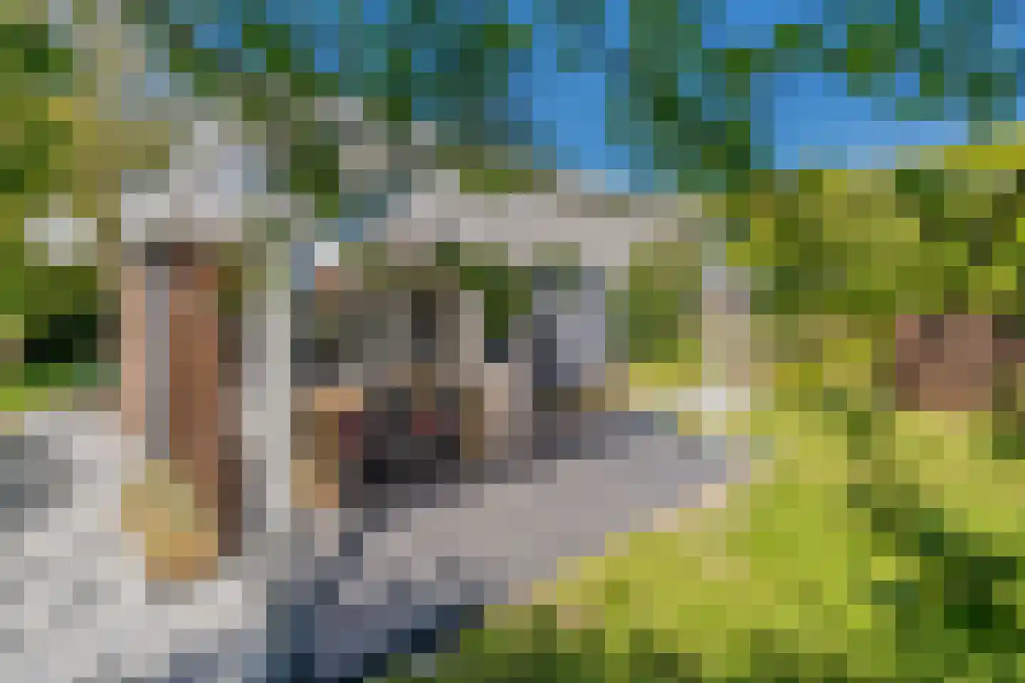 Bongerd 31 Renesse thumbnail 20