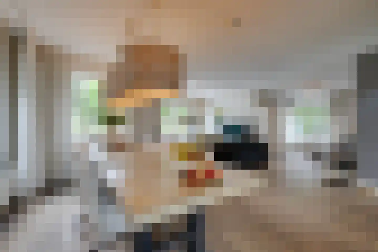 Bongerd 34 Heerhugowaard thumbnail 10
