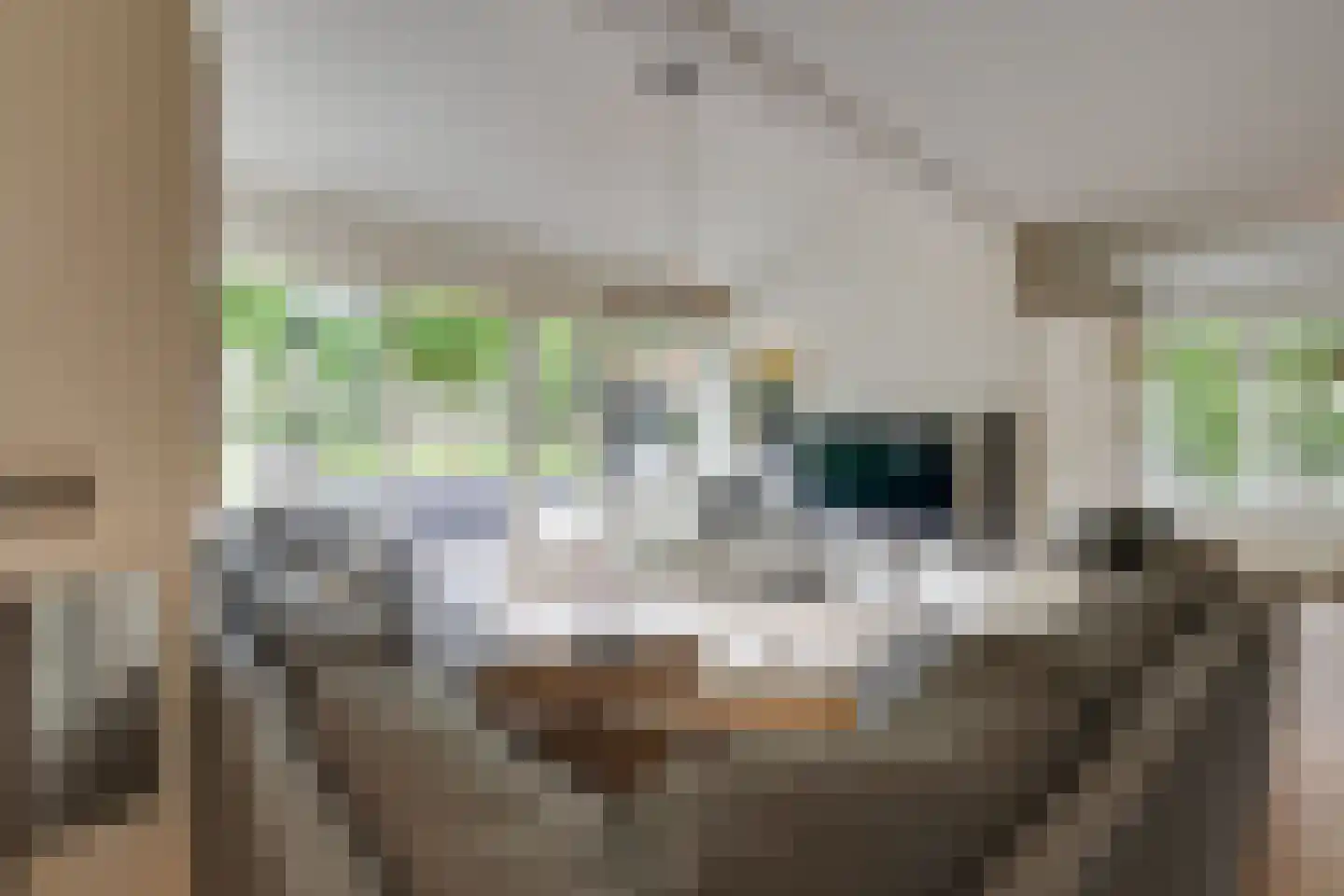 Bongerd 34 Heerhugowaard thumbnail 11