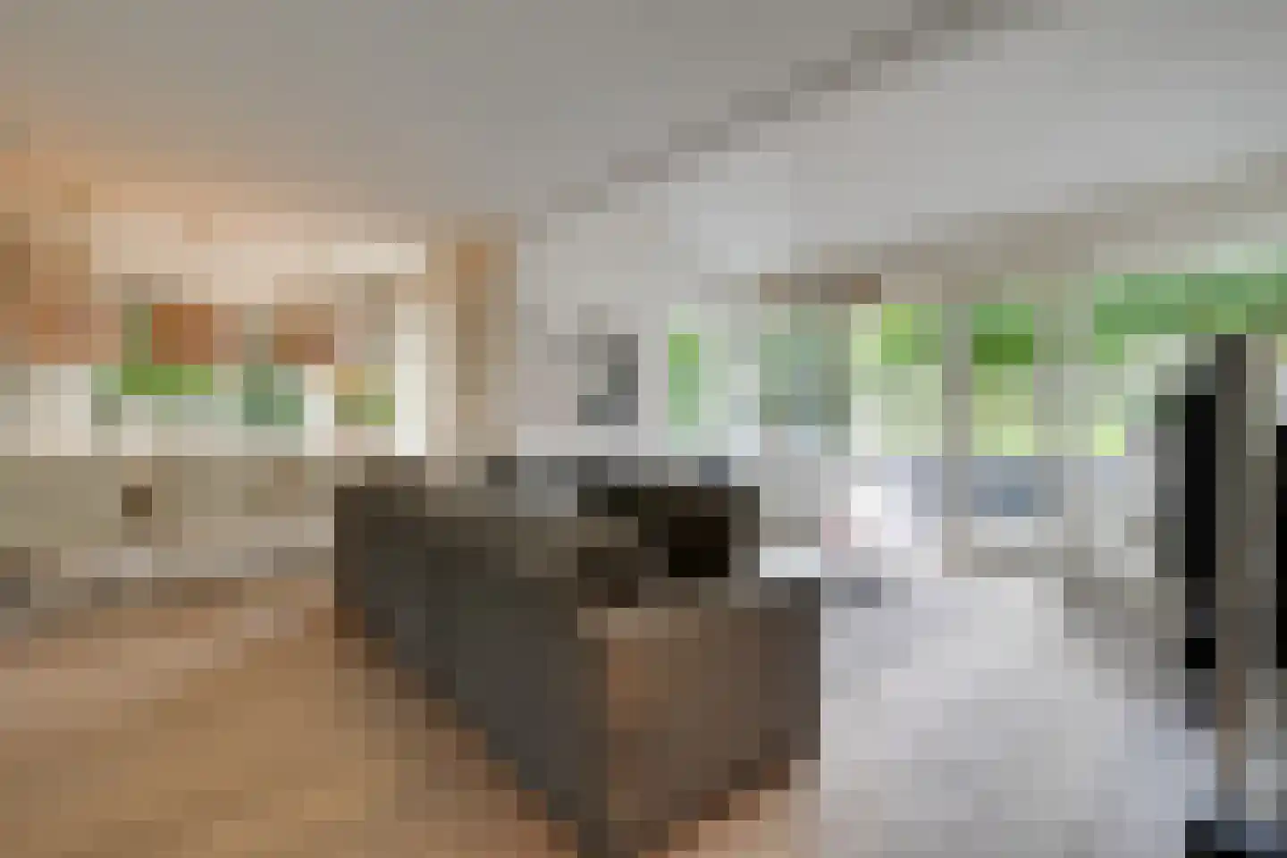 Bongerd 34 Heerhugowaard thumbnail 15