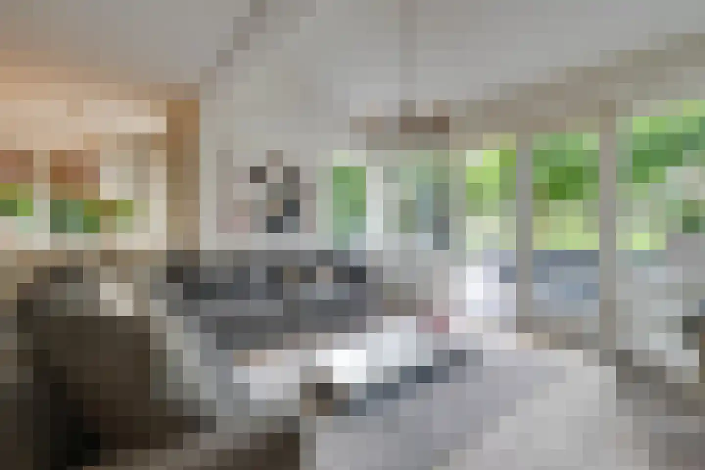 Bongerd 34 Heerhugowaard thumbnail 16