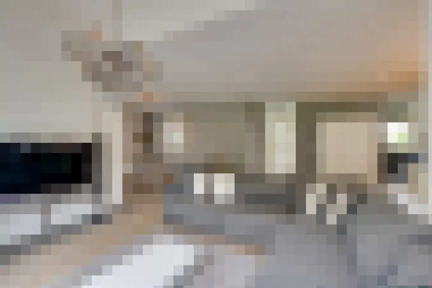 Bongerd 34 Heerhugowaard thumbnail 18