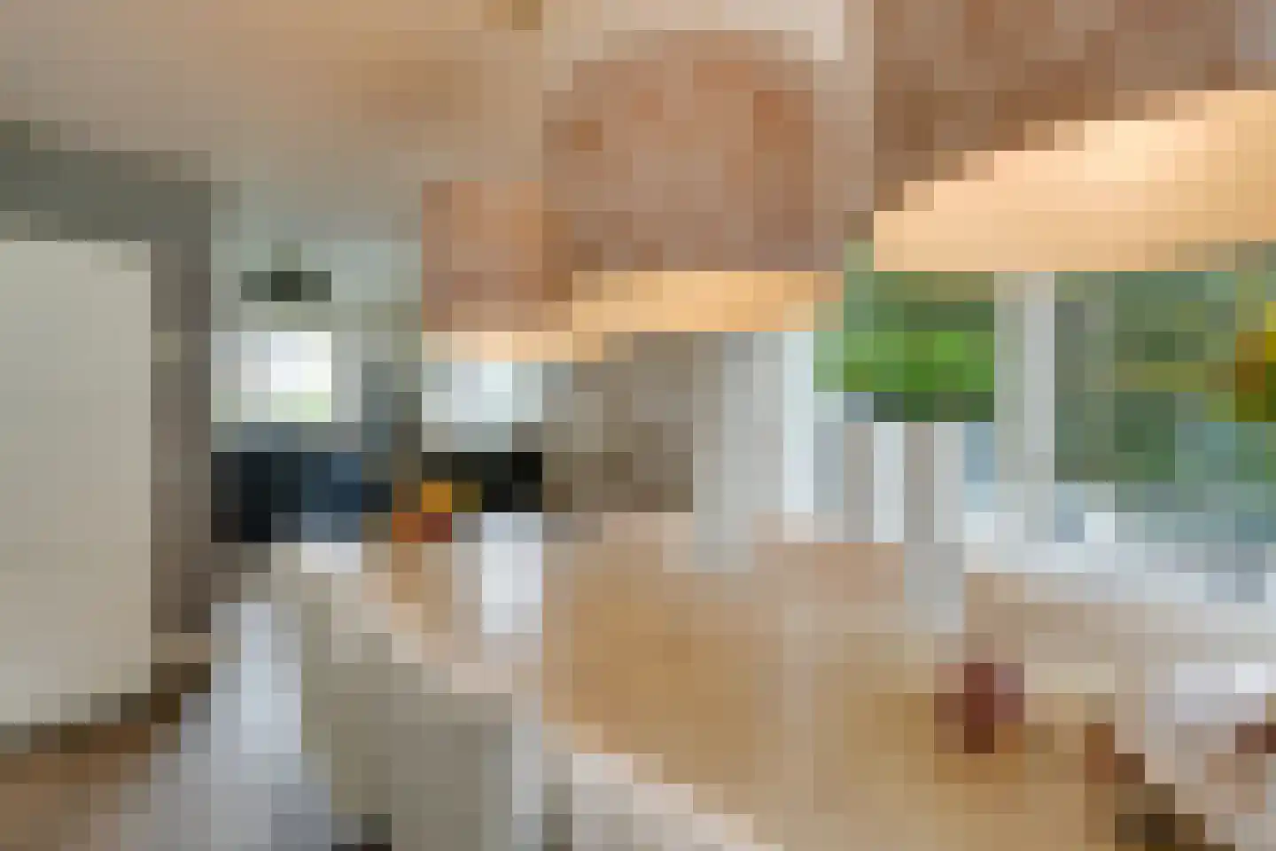 Bongerd 34 Heerhugowaard thumbnail 20