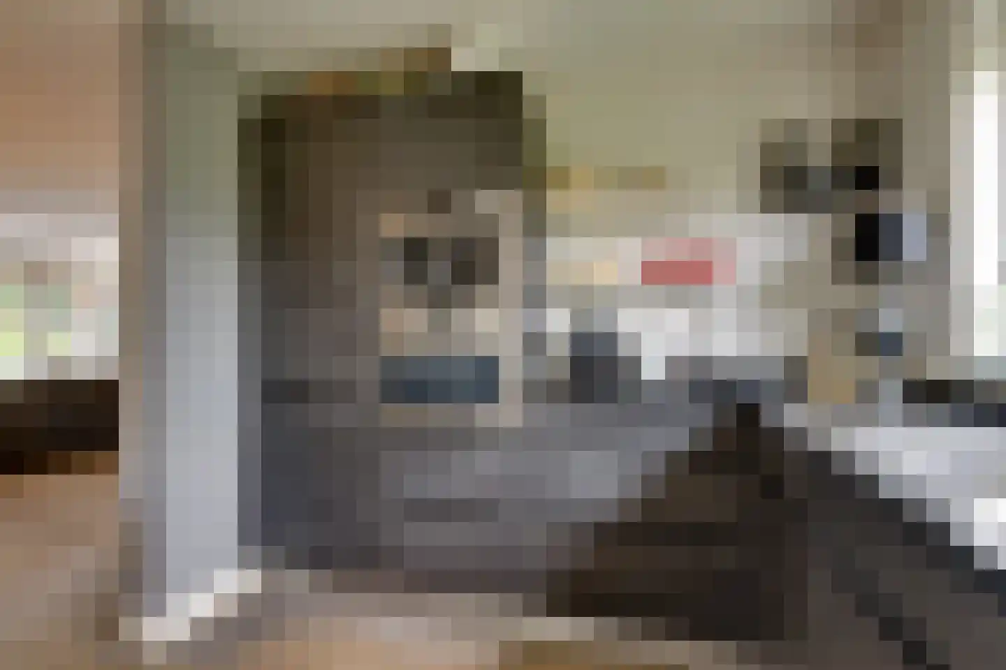 Bongerd 34 Heerhugowaard thumbnail 25