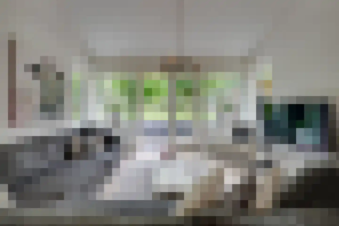 Bongerd 34 Heerhugowaard thumbnail 28