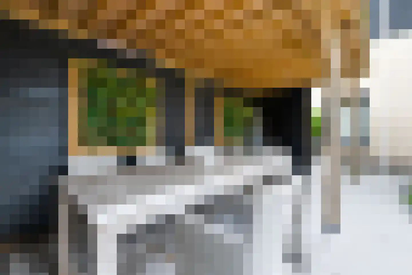 Bongerd 34 Heerhugowaard thumbnail 34