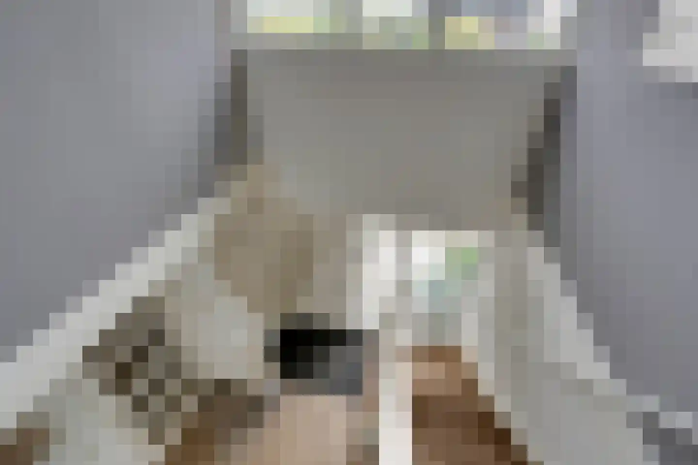 Bongerd 34 Heerhugowaard thumbnail 41