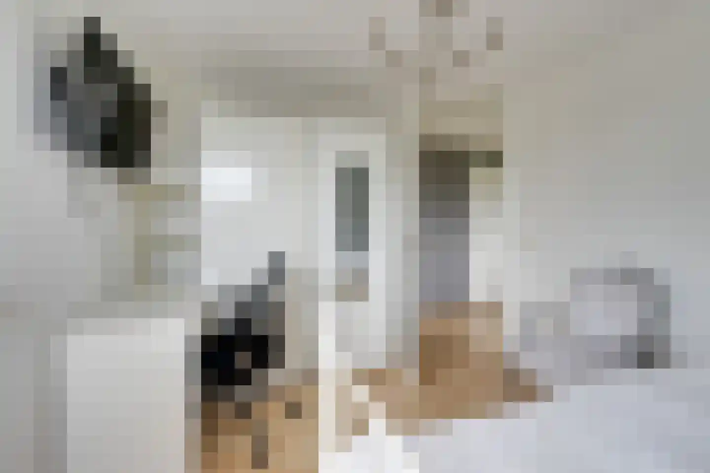 Bongerd 34 Heerhugowaard thumbnail 48