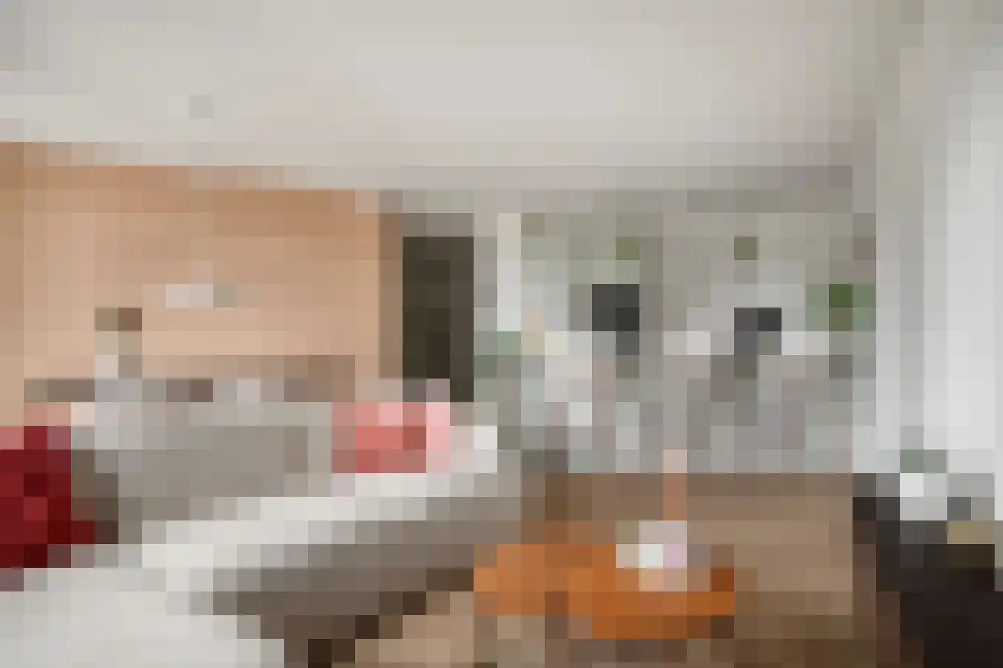 Bongerd 4 Barneveld thumbnail 14