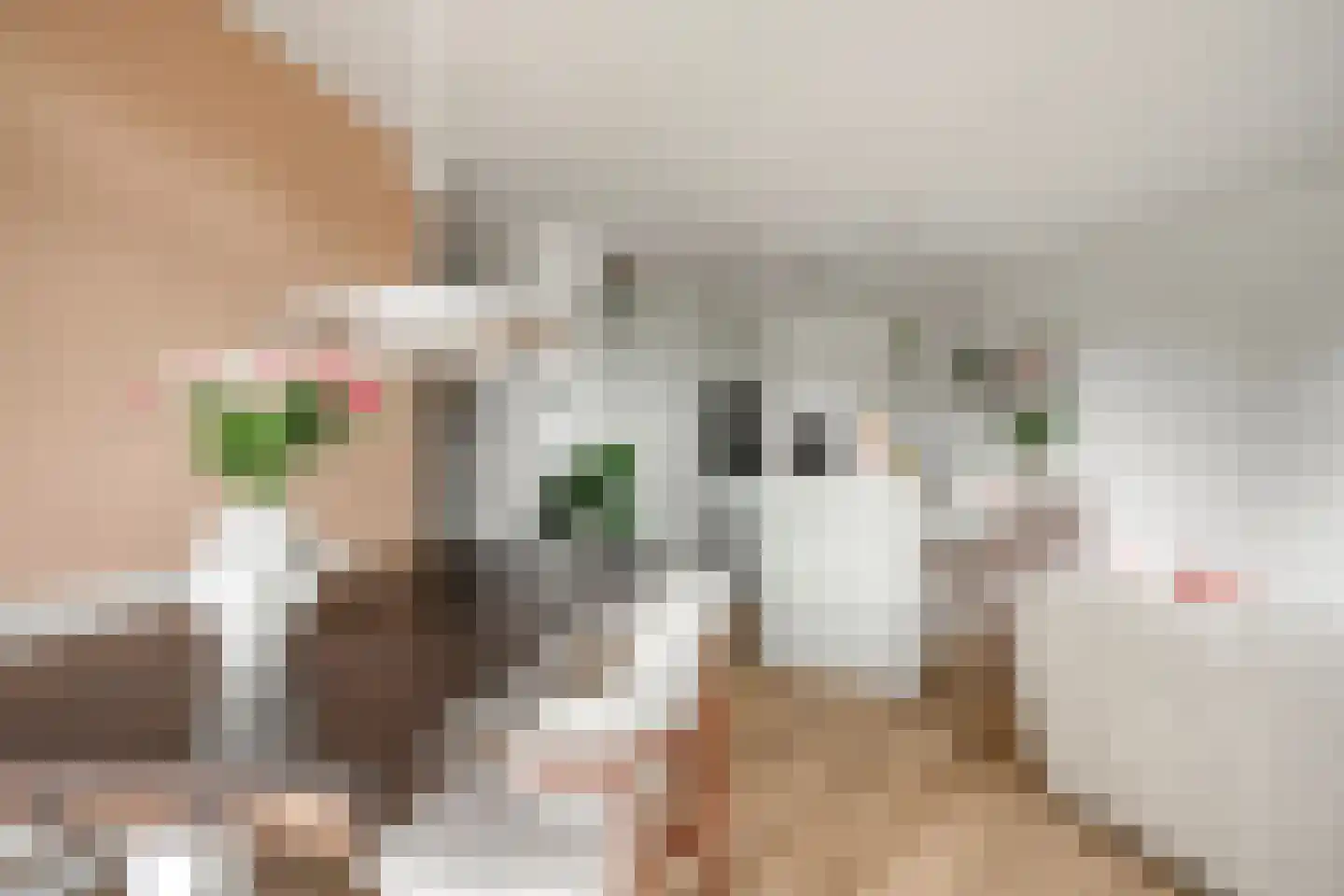 Bongerd 4 Barneveld thumbnail 17