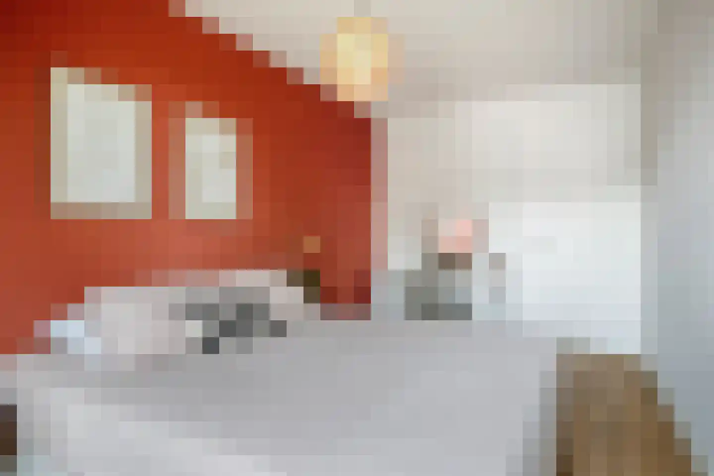 Bongerd 4 Barneveld thumbnail 26