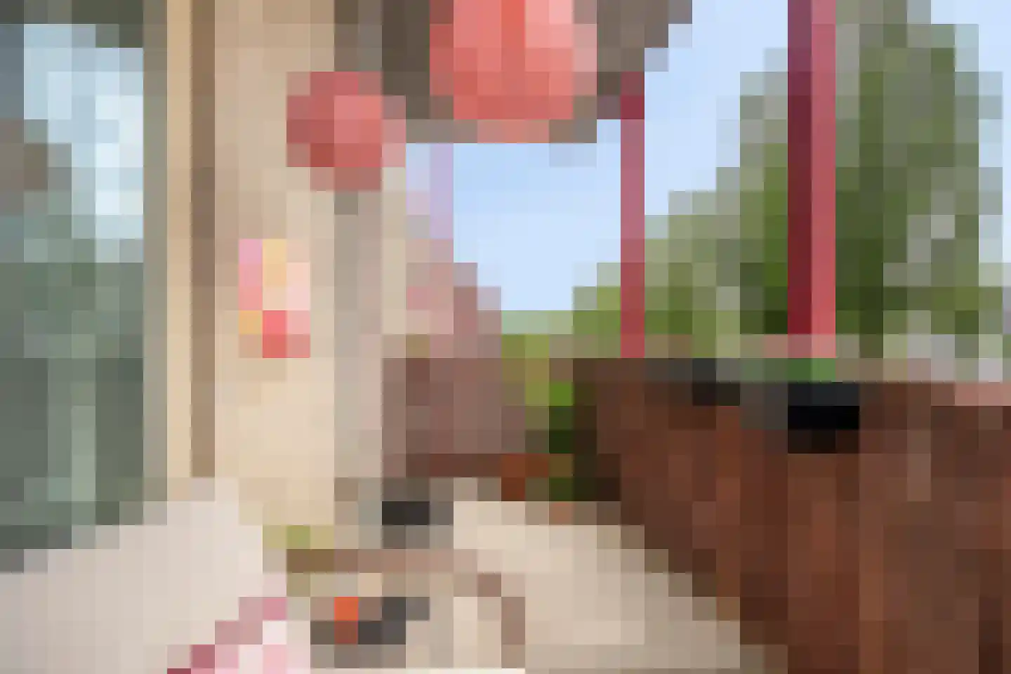 Bongerd 4 Barneveld thumbnail 30