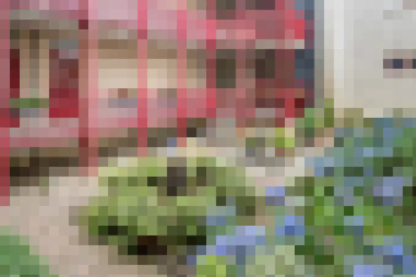 Bongerd 4 Barneveld thumbnail 33
