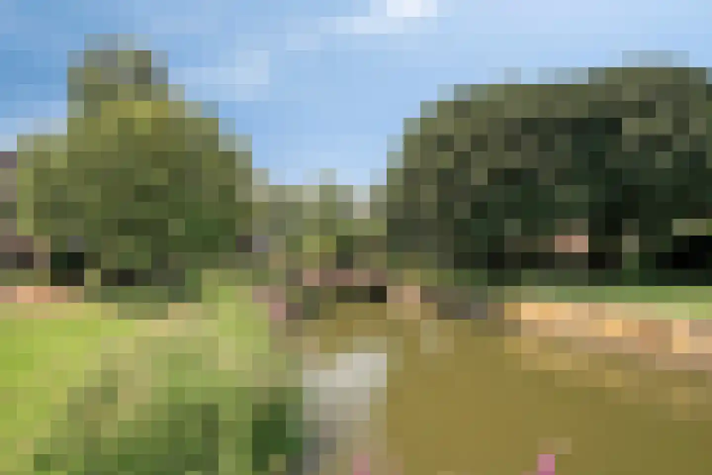 Bongerd 4 Barneveld thumbnail 35