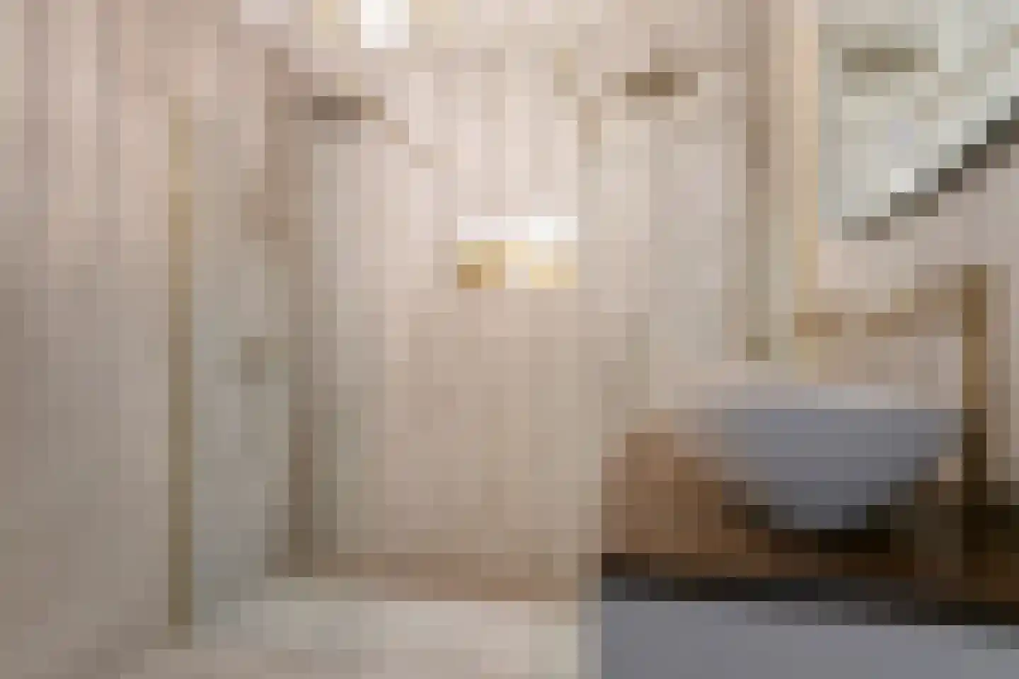 Bongerd 4 Barneveld thumbnail 4