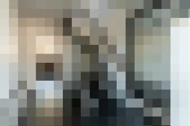 Bongerd 4 Lelystad thumbnail 35