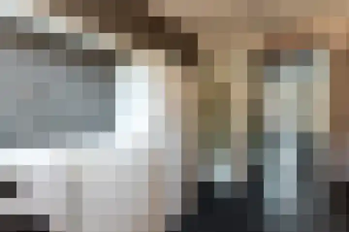 Bongerd 4 Lelystad thumbnail 36