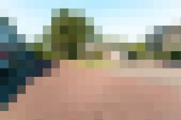 Bongerd 4 Lelystad thumbnail 45