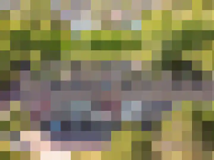 Bongerd 4 Lelystad thumbnail 46