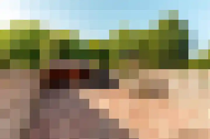 Bongerd 4 Lelystad thumbnail 6