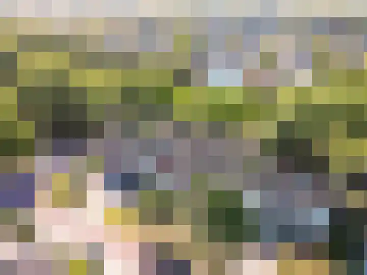 Bongerd 4 Lelystad thumbnail 7