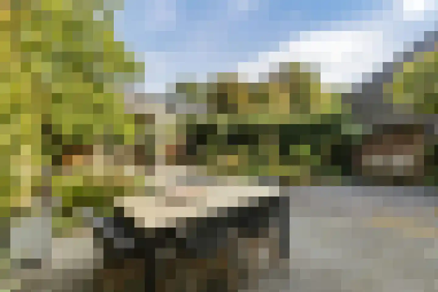 Bongerd 43 Malden thumbnail 10