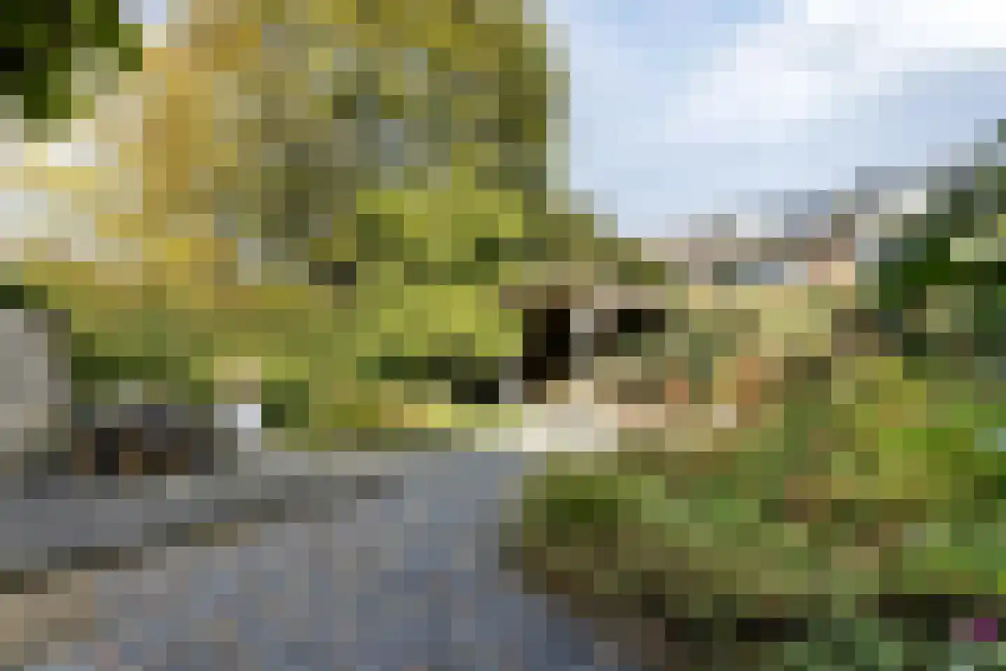 Bongerd 43 Malden thumbnail 11
